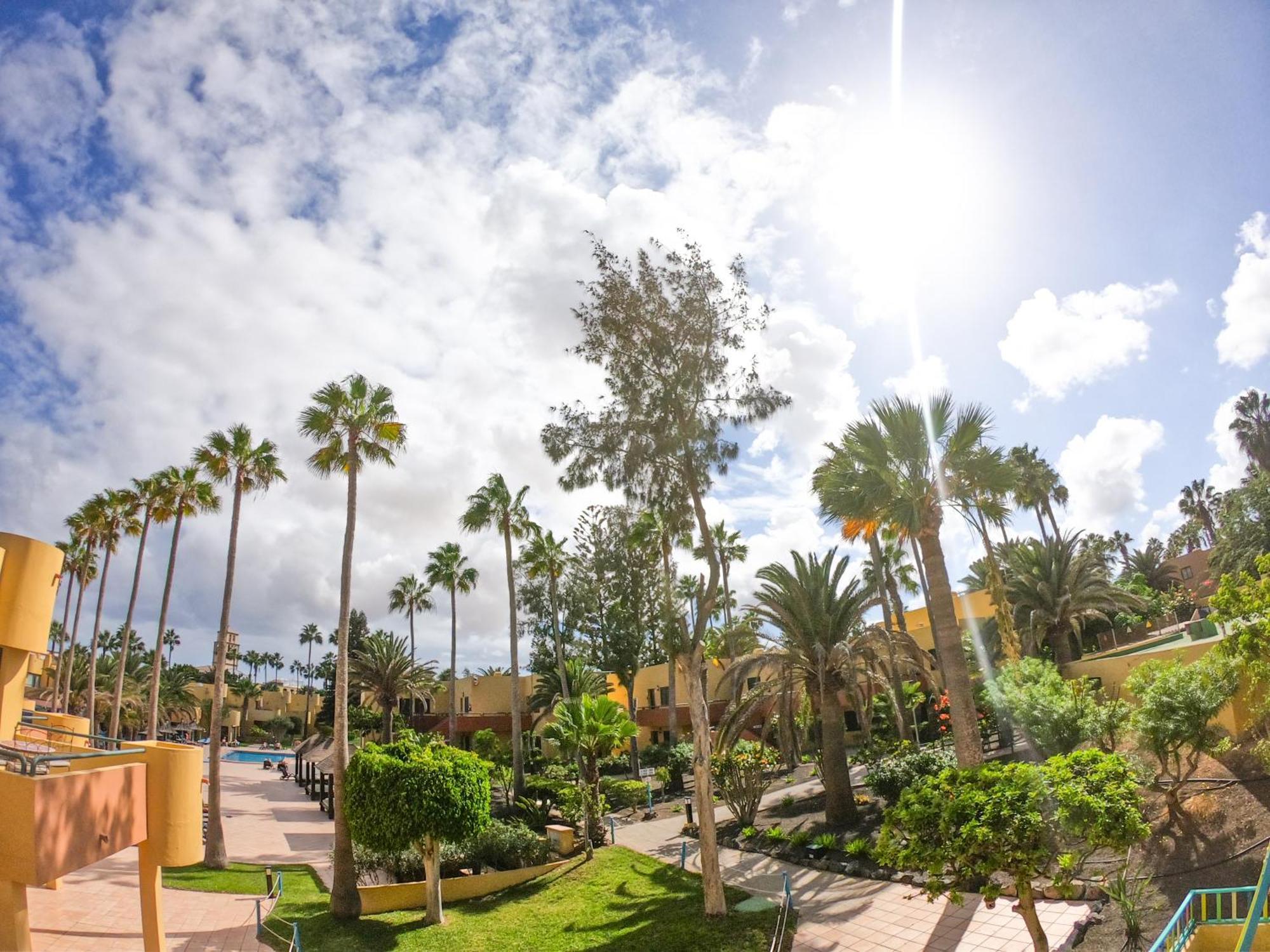 Drago 1 Atlantic Garden Apartment Corralejo Ngoại thất bức ảnh