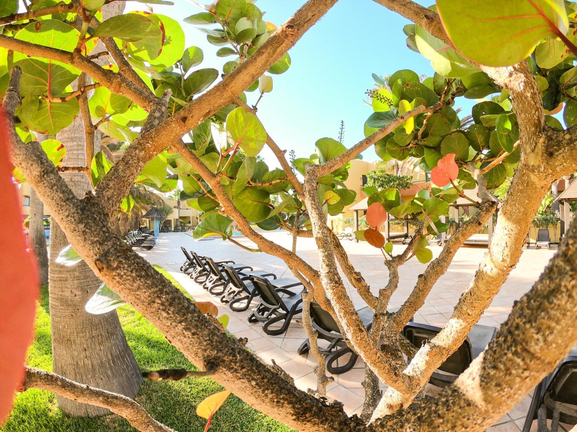 Drago 1 Atlantic Garden Apartment Corralejo Ngoại thất bức ảnh